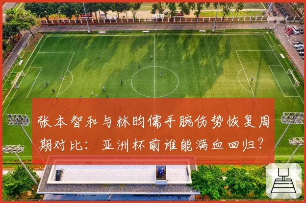 张本智和与林昀儒手腕伤势恢复周期对比：亚洲杯前谁能满血回归？