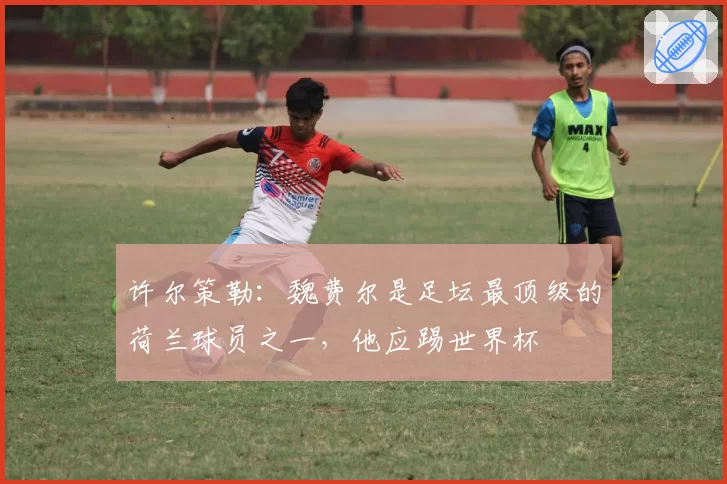 许尔策勒：魏费尔是足坛最顶级的荷兰球员之一，他应踢世界杯