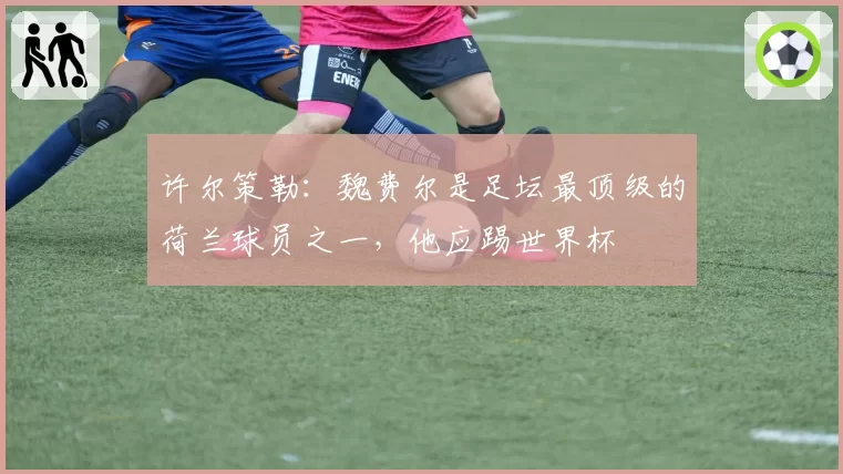 许尔策勒：魏费尔是足坛最顶级的荷兰球员之一，他应踢世界杯