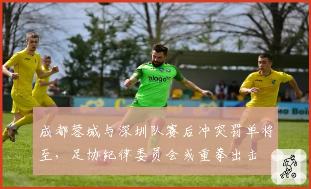 成都蓉城与深圳队赛后冲突罚单将至，足协纪律委员会或重拳出击