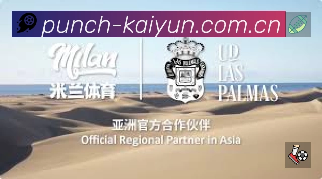 开云平台展示图